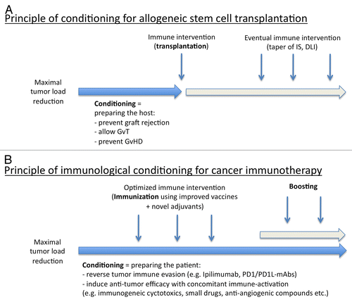 Figure 2. Immunological conditioning as a strategy for boosting anticancer immunotherapy. (A) General conditioning approach for allogeneic stem cell transplantation (SCT). In this scenario, conditioning is generally applied prior to the immunological intervention (i.e., SCT). Specific immunomodulatory interventions (i.e., tapering, if no graft-vs.-host disease, GvHD) is detectable) can also be administered after transplantation. (B) Immunological conditioning in anticancer immunotherapy is primarily used to reverse cancer-associated immunosuppression (IS). DLI, donor lymphocyte infusion; GvT, graft-vs.-tumor.