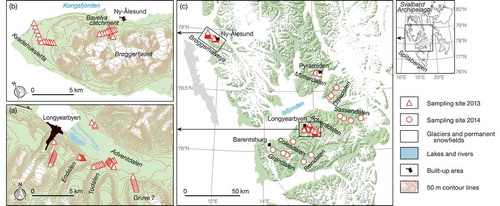 Figure 2. Sampling locations of local studies in (a) Adventdalen, (b) on Brøggerhalvøya and (c) in central Spitsbergen.