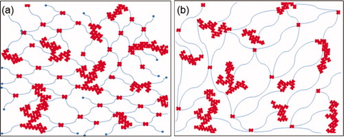 Figure 5. Schematic structural models of the oligomeric TEOS based networks with (a) a low molecular weight of PDMS and (b) a high molecular weight of PDMS.