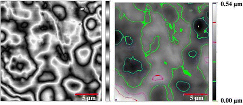 Figure 3 The two-dimensional AFM topography images of N3.