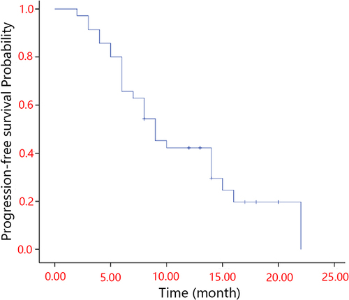 Figure 2 Kaplan-Meier analyses of progression-free survival according to treatment group.