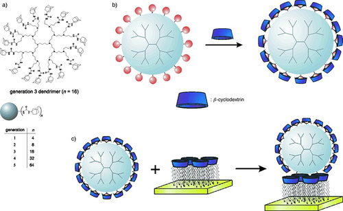 Figure 9 Chemical structures of adamantly functionalized PPI dendrimers (Ad-PPI) and their formation of inclusion complexes with cyclodextrins to construct water-soluble assemblies (A); the formation of a monolayer of these modified assemblies on a gold substrate via adsorption (CD-AuNPs monolayer) (B); and formation of multilayer CD-assemblies on gold (C). Reproduced with permission from Copyright 2002 Wiley VCH GmbH.Citation247