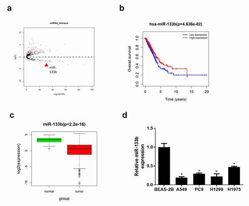 Figure 1. MiR-133b is lowly expressed in LUAD