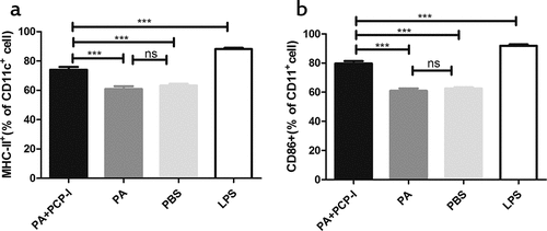 Figure 3. PCP-I enhances the activation of PA-specific DCs in vitro. Bone marrow-derived DCs were stimulated with 50 μg/mL PA +PCP-I 2 mg/mL, 50 μg/ml PA, 2 μg/mL LPS, or PBS for 24 h in vitro. The cells were stained and the expression of CD11c/MHCII (a), CD11c/CD86 (b) on DCs was analyzed by FACS. Results are representative of two separate experiments (***p < .001).