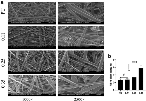 Figure 3. SEM results of four groups of artificial blood vessels. (a) Fiber morphology of the four groups of blood vessels. (b) Fiber diameters of the four groups of blood vessels. (# represents no statistical significance, * represents P < 0.5, ** represents P < 0.01, and *** represents P < 0.001, the same below)