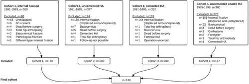 Figure 1. Flow chart describing the cohorts, with inclusions and exclusions. HA: hemiarthroplasty; uncemented coated: uncemented hydroxyapatite-coated.