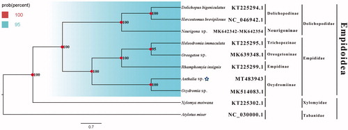 Figure 1. Bayesian phylogenetic tree of 10 Diptera species. The posterior probabilities are labeled at each node. Genbank accession numbers of all sequence used in the phylogenetic tree have been included in Figure 1 and corresponding to the names of all species.