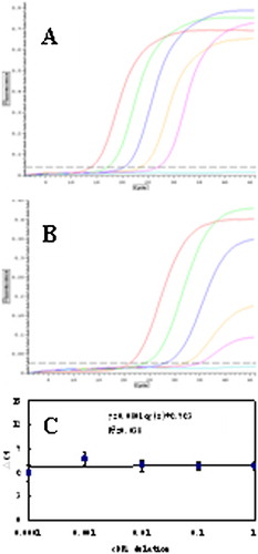 Figure 1. Validation of the methods. The efficiency of amplification of the target gene (CD3-zeta) and internal control (beta2M) was examined suing real-time PCR. (A) Dilution sample beta2M amplification curve; (B) Dilution sample CD3-zeta gene amplification curve; (C) The results of efficiency of amplification. The ΔCt [Ct(CD3-zeta)−Ct(beta2M)] was calculated for each cDNA dilution. The data were fit using least-squares liner regression analysis.