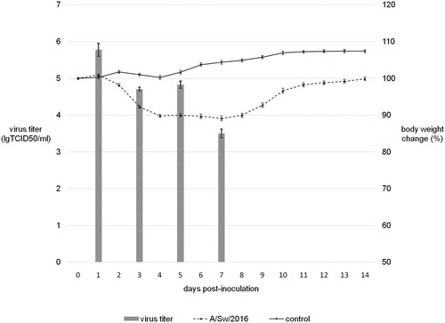 Figure 1. Experimental infection of Balb/c mice by A/Sw/2016 influenza virus.