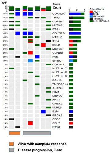 Figure 4 Targeted sequencing of seven patients. Among 24 patients, the mutation profiles were compared between two alive patients with complete response (orange bar) and five dead patients who were refractory to lenalidomide and rituximab (gray bar).