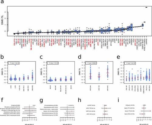 Figure 5. Clinical application of immune cell estimation. The estimated score of tumor-infiltrating lymphocytes for different subgroups of the Capper et al. validation data set (a), the TCGA glioma samples (b), medulloblastoma samples (c), ATRT (d), and ependymoma samples (e). The p-values are calculated based on the Kruskal-Wallis test. f-i.: Survival analysis for the prognostic relevance of DIME-TIL estimates for the same data as in panel b-e in the form of forest plots. HR: hazard ratio, CI: confidence interval