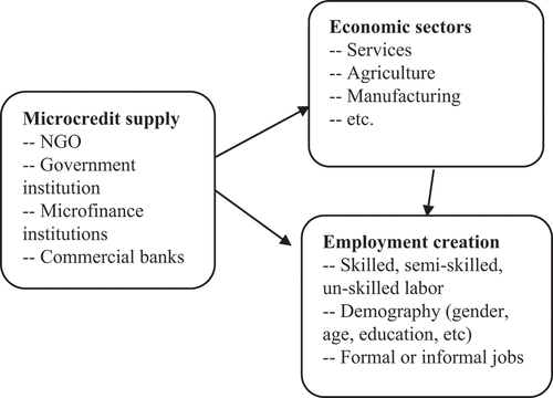 Figure 2. Framework of microcredit leading employment creation.