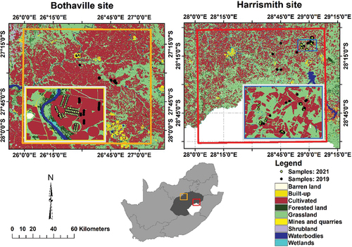 Figure 1. Land cover distributions in Bothaville and Harrismith (orange and red squares), Free State province (dark grey), South Africa (adopted from Kganyago Citation2022). The insert maps are projected to UTM (Universal Transverse Mercator) with WGS-84 (World geodetic System 1984) Datum. The land cover dataset was obtained from the Department of Forestry, Fisheries and the Environment (https://egis.environment.gov.za/gis_data_downloads, accessed 20 March 2021).