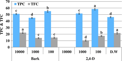 Figure 3. Total phenolic content (TPC μg GAE/mg D.W) and total flavonoid content (TFC μg QE/mg D.W) of allelopathic plantlets exposed to C. stocksiana Engl bark extract at varying concentration along with 2,4-D and dH2O.