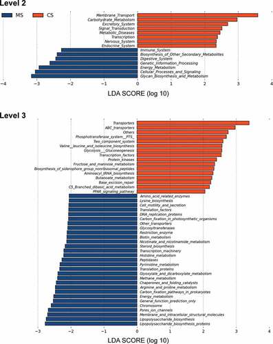 Figure 4. Functional predictions for the oral microbiota of migraine and control groups