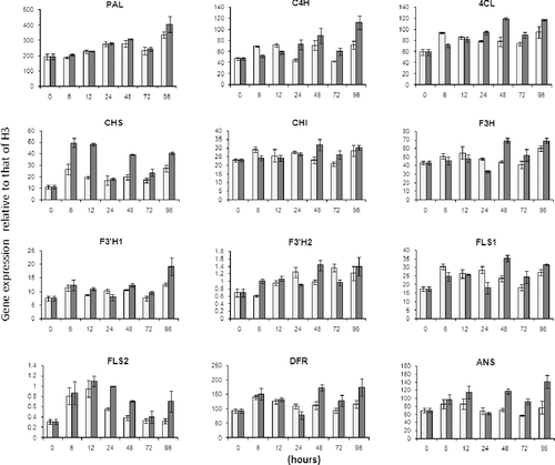 Figure 2. Transcription levels of genes related to phenylpropanoid biosynthesis in F. tataricum hairy roots with (■) and without (□) ethephon treatment.