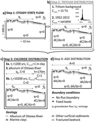 Figure 3. Sequential modelling strategy: (a) Step 1: steady-state flow model, (b) Step 2: calibration of the flow model using tritium, (c) Step 3: simulation of chloride transport from the Champlain Sea invasion, and (d) Step 4: groundwater age model. For simplicity, the inclined bottom boundary is not shown here. Fixed heads, representing surface water, are shown as small triangles on the water table.