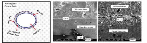 Figure 1. Constitutive phases & SEM image of RAC (Z. Liu et al., Citation2016).