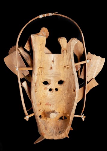 Figure 10. Back of Yup'ik mask 101596 (Figure 1) showing awl marks and bite block. Photo Vatican Museums, Images and Rights Department © Governorate of the Vatican City State - Directorate of the Vatican Museums.