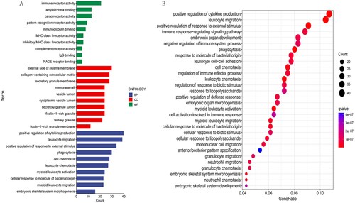 Figure 6. GO and KEGG pathway analysis. (A)Significantly enriched GO terms of the DEGs between the LR and HR subgroups in the total cohort. (B)Significantly enriched KEGG pathway terms of the DEGs between the LR and HR subgroups.