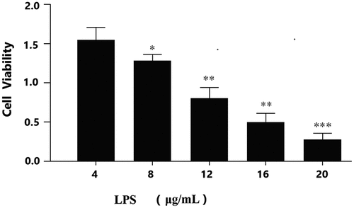 Figure 1. LPS suppresses viability of granulosa cells.