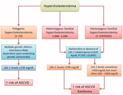 Figure 1. Genetic aspects of different hypercholesterolemia forms and outcomes.