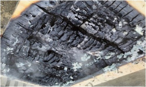 Figure 10. W-1 panel after the fire test showing pieces of localized char fall-off.