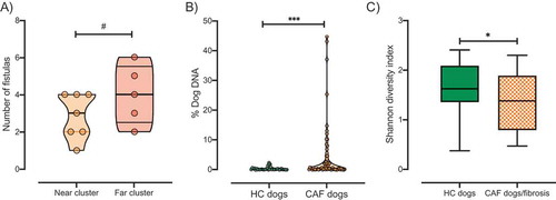 Figure 3. Clinical manifestation of CAF. A) The number of fistulas presented by CAF dogs according to cluster (orange, near cluster; red, far cluster). B) Percentage of dog DNA reads in metagenomic sequencing samples grouped by disease status. C) Shannon index of alpha diversity in samples from HC dogs (green, n = 8) or CAF dogs exhibiting fibrosis (orange pattern, n = 6). T-test, p values are expressed as: ****<0.0001, ***<0.001, ** <0.005, * <0.05, and #0.1.