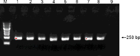 Figure 1. Representative PCR analysis of the G10H gene in yeast transformants. Lane M: 100 bp DNA Ladder Marker (Trans DNA Marker, TransGen Biotech, Inc., Beijing, China); Lane 1–7: genomic DNA of yeast transformants as the template; Lane 8: genomic DNA of G. macrophylla as the template; Lane 9: genomic DNA of control yeast cells treated with ion implantation and incubated in TE buffer without G. macrophylla genomic DNA as the template.