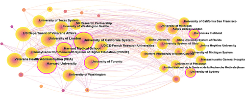 Figure 3 The collaboration network of institutions related to pain associated with anxiety or depression.