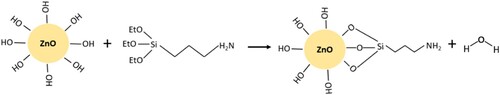 Figure 4. Silanisation reaction between APTES and ZnO.