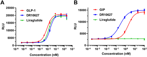 Figure 2 Representative concentration–response curves of DR10627, liraglutide, GLP-1 or GIP in cAMP accumulation assays of CHO cell lines expressing human GLP-1 receptors (A) or human GIP receptors (B). Values are presented as the mean (± SD) from duplicate analyses fitted with a 4-parameter logistic fit to determine the EC50 value.