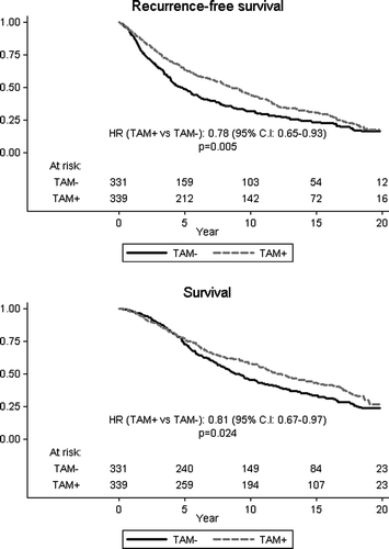 Figure 3.  Overall and event-free survival among ER positive, high risk risk patients according to allocated treatment.