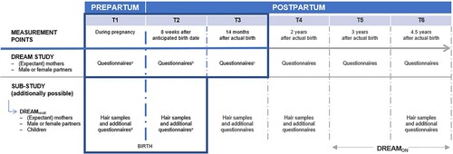 Figure 1. Measurement points of DREAM and the endocrine sub-study DREAMHAIR. Note: Relevant measurement points for the current study were T1 DREAM, T2 DREAM, T3 DREAM, T1 DREAMhair, and T2 DREAMhair. Mothers completed aT1 DREAM questionnaires during pregnancy at gestational week M = 27.0 (SD = 5.5), bT2 DREAM questionnaires M = 8.3 weeks (SD = 1.4) after the anticipated birth date, and cT3 DREAM questionnaires M = 13.8 months (SD = 0.6) after birth. For the sub-study DREAMhair, mothers participated at dT1 DREAMhair M = 21.9 days (SD = 10.9) before birth and at eT2 DREAMhair M = 8.4 weeks (SD = 1.1) after the anticipated birth date.