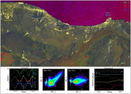 Figure 4. Spatiotemporal analysis of Sentinel 2 NDVI time series for Muscat Oman. The temporal feature space clearly shows at least eight temporal endmembers in the first three dimensions with clear distinction between terrestrial vegetation and marine algal blooms. Seasonal illumination effects are also seen in areas with terrain shadow. The PC composite shows most vegetation as yellow but the feature space clearly distinguishes irrigated (1) from indigenous (2) vegetation by senescence duration. The PC 3/2 projection identifies two distinct endmembers (7 & 8) corresponding to interannual increases and decreases in NDVI – although the areas of inter annual change are generally rather small (< ∼100 × 100 m) so difficult to see on the PC composite at the regional scale.