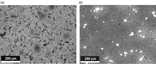 Figure 7. Mn mappings of Fe-10%Mn-0.5%C, sintered 1300°C, prepared from different Fe powders. (a) Atomised iron powder. (b) Carbonyl iron powder.