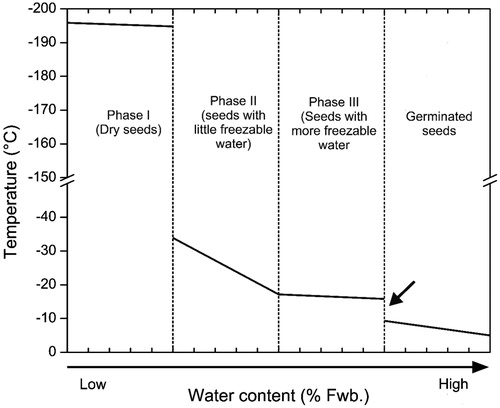 Figure 1. Typical relationship between water content of seeds and temperature at which seeds incur mortality. Water content in each phase is species-specific. The amount of water increases from phase I through phase III, decreasing the freezing tolerance ability. In phase I, seeds do not have any freezable water and therefore survive low temperatures, even direct exposure to liquid nitrogen. Increase in water content leads to decrease in survival, thus seeds with little freezable water (phase II) do not survive ultra-low temperature but maintain viability when exposed to sub-zero temperatures. Seeds in phase III, i.e., fully imbibed but ungerminated, have mechanisms to survive exposure to sub-zero temperature. In radicle protruded seeds (phase IV), there is a sudden loss in freezing tolerance (indicated with an arrow).