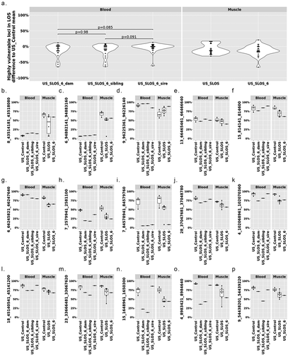 Figure 6. DNA methylation at the 25 highly vulnerable loci of LOS (≥ 3 experiments) in US_SLOS_#6 calf, its sire, dam, and full-sibling. (a) Violin plots with dots showing the difference of DNA methylation between examined individual/group (mean) and mean of US_Control for highly vulnerable loci in LOS (found in ≥3 LOS experiments). Each dot in the violin plot represents a vulnerable locus. P values were from t-test. The baseline for blood samples is US_Control blood and the baseline for muscle samples is US_Control muscle. (b-p) Box plots with dots show DNA methylation level (y-axis) at highly vulnerable loci without obvious differences (>10%) in parental blood samples (b-f), with obvious differences in sire only (g), both sire and dam (h-i), dam only (j-o), and sibling only (p) when compared to the mean of control group. Each dot in the box plot represents a sample.