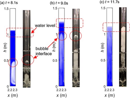 Figure 7. Numerical and experimental results of air-pocket rising process in the vertical riser at: (a) t = 8.1 s; (b) t = 9.0 s; (c) t = 11.7 s.