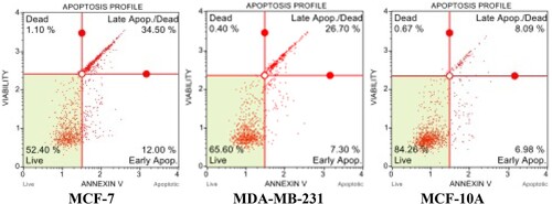 Figure 5. Apoptosis analysis of NP-Pro on MCF-7, MDA-MB-231 breast cancer, and MCF-10A human breast epithelial cell lines after 24 h incubation by flow cytometry.