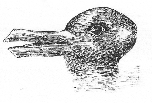 Figure 2. J. Jastrow’s (Citation1899/2006) “The duck/rabbit illusion” (original published in Popular Science Monthly 1899. Retrieved 2019–10-28 from https://commons.wikimedia.org/wiki/File:Duck- Rabbit_illusion.jpg#filehistory.