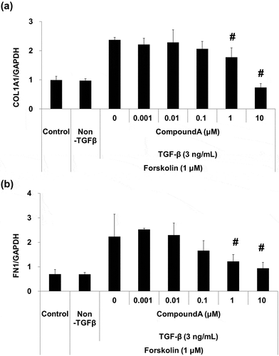 Figure 2. Inhibitory effect of compound A on TGF-β-induced profibrotic gene expression in WI-38 human lung fibroblast cell line.(a) COL1A1 expression; (b) FN1 expression; WI-38 cells were treated with compound A for 1 h and stimulated by forskolin/TGF-β in the presence of compound A for 24 h. Mean ± SD, n = 3, #p ≤ 0.05 vs. forskolin/TGF-β by two-tailed Williams’ test. COL1A1, type-1 collagen α1 chain; FN1, fibronectin; TGF-β, transforming growth factor-β.