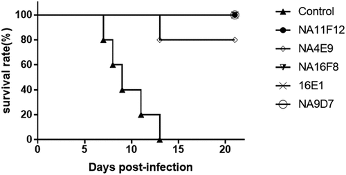 Figure 1. Protective effects of five neutralizing mAbs of CV-A16 in newborn suckling mice