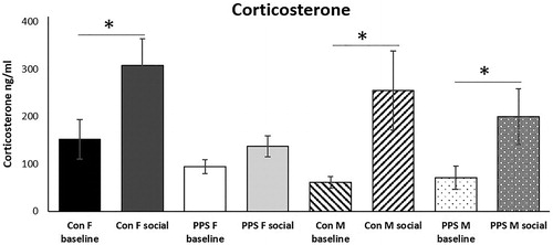 Figure 4. Corticosterone. Social interaction significantly elevated corticosterone above baseline in control animals and PPS males. This response was blunted in PPS females. Con: control; PPS: pre-pubertal stress; F: female; M: male. Females: 22 control; 18 PPS; male: 12 control; 10 PPS *p < .05. Error bars represent 1 S.E. and bars joined by a line and asterisk are significantly different to one another.