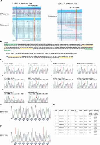 Figure 2. RNA variants that represent potential A-to-I editing events