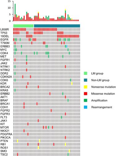 Figure 3 The comparison of genetic aberrations of 16 leptomeningeal metastases patients with EGFR mutation and 36 similar advanced lung cancer patients harboring EGFR mutation without leptomeningeal metastases.