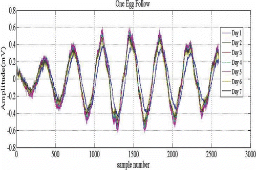 Figure 3  Changes in the amplitude of the signals recorded after transmission through a sample egg.