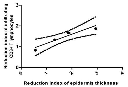 Figure 6. Correlation between the reduction indexes of infiltrating T CD3+ lymphocytes and epidermis thickness, after induction phase of itolizumab treatment of five psoriasis patients (P = 0.041, Spearman r = 0.9).