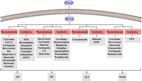 Figure 3 The potential uses of phytochemical/synthetic nanoformulations against multiple neurodegenerative diseases.