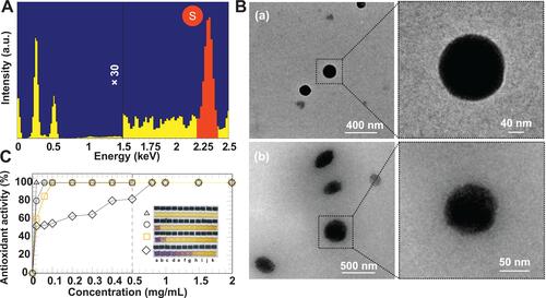 Figure 2 (A) SEM-EDX spectrum of WCS-GA-DBBN indicating sulfur elemental composition of WCS-GA-DBBN, (B) TEM images of (a) WCS-GA and (b) WCS-GA-DBBN, (C) DPPH radical scavenging abilities of WCS (◊), WCS-GA-DBBN (□), WCS-GA (○), and GA (Δ) at various concentrations of (a) 0.02, (b) 0.06, (c) 0.1, (d) 0.2, (e) 0.3, (f) 0.4, (g) 0.5, (h) 0.8, (i) 1.0, (j) 1.5 (k) 2.0 mg/mL and their corresponding physical appearance of the DPPH color fading from purple to yellow (insert).